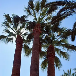Les Palmeres Apartment Castell-Platja d’Aro